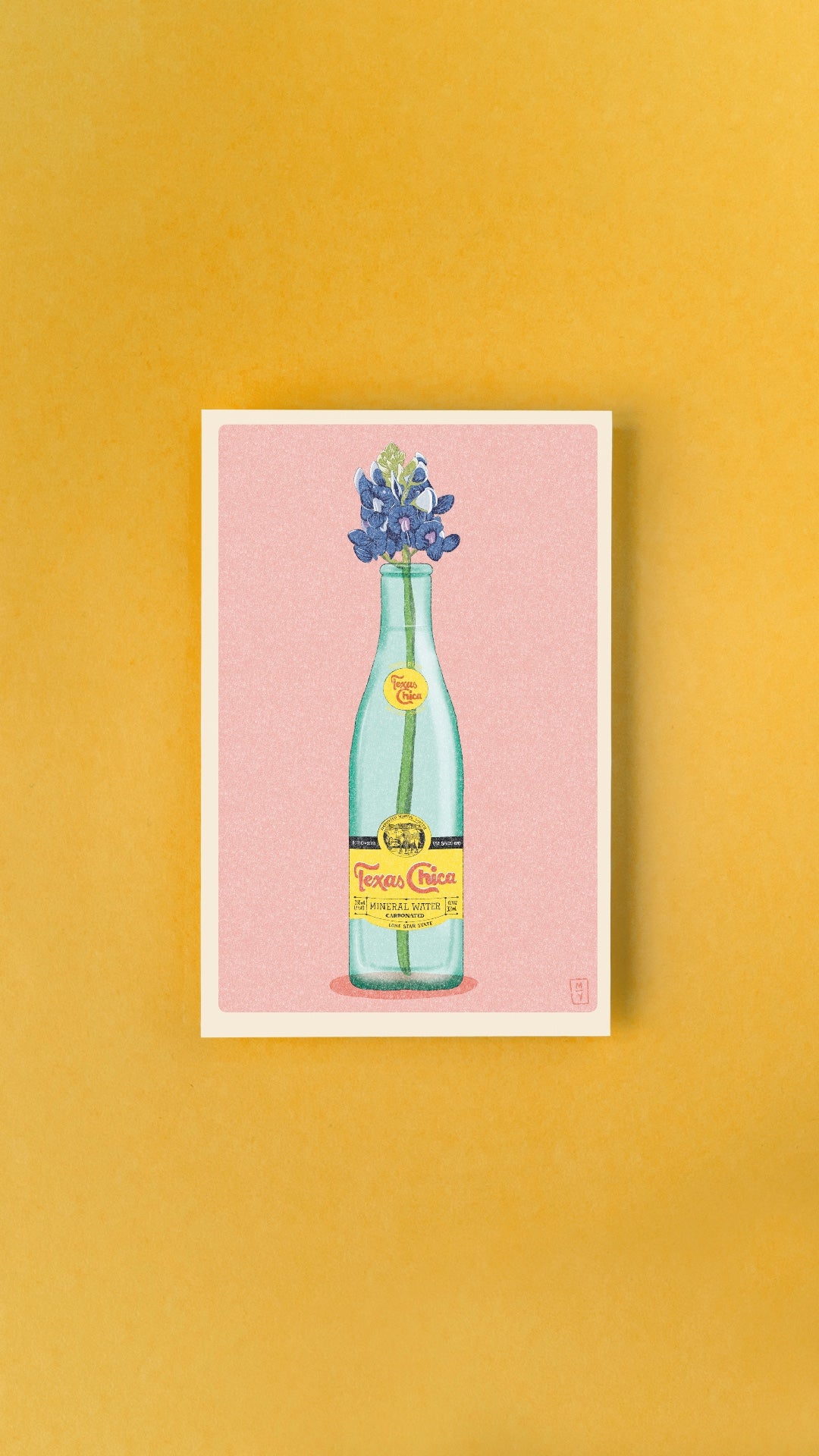 Texas Chica Postcard