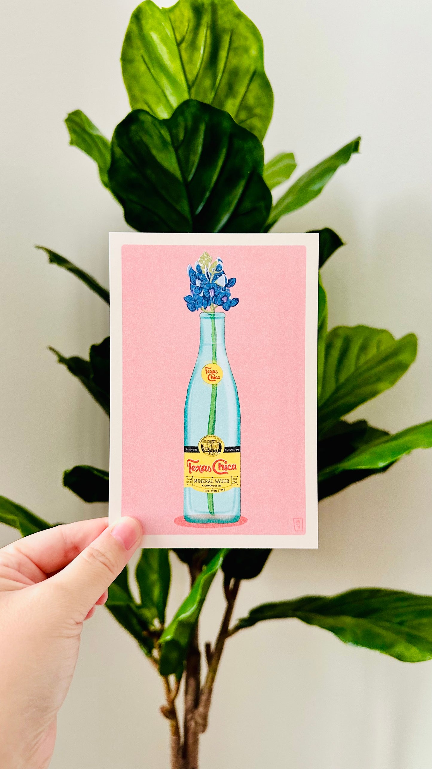 Texas Chica Postcard