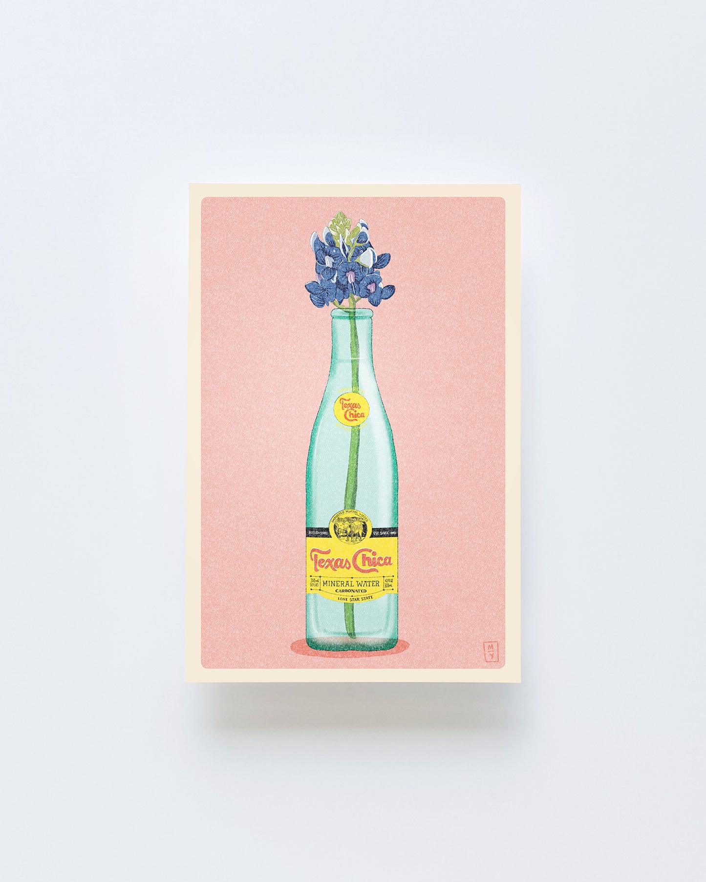 Texas Chica Postcard