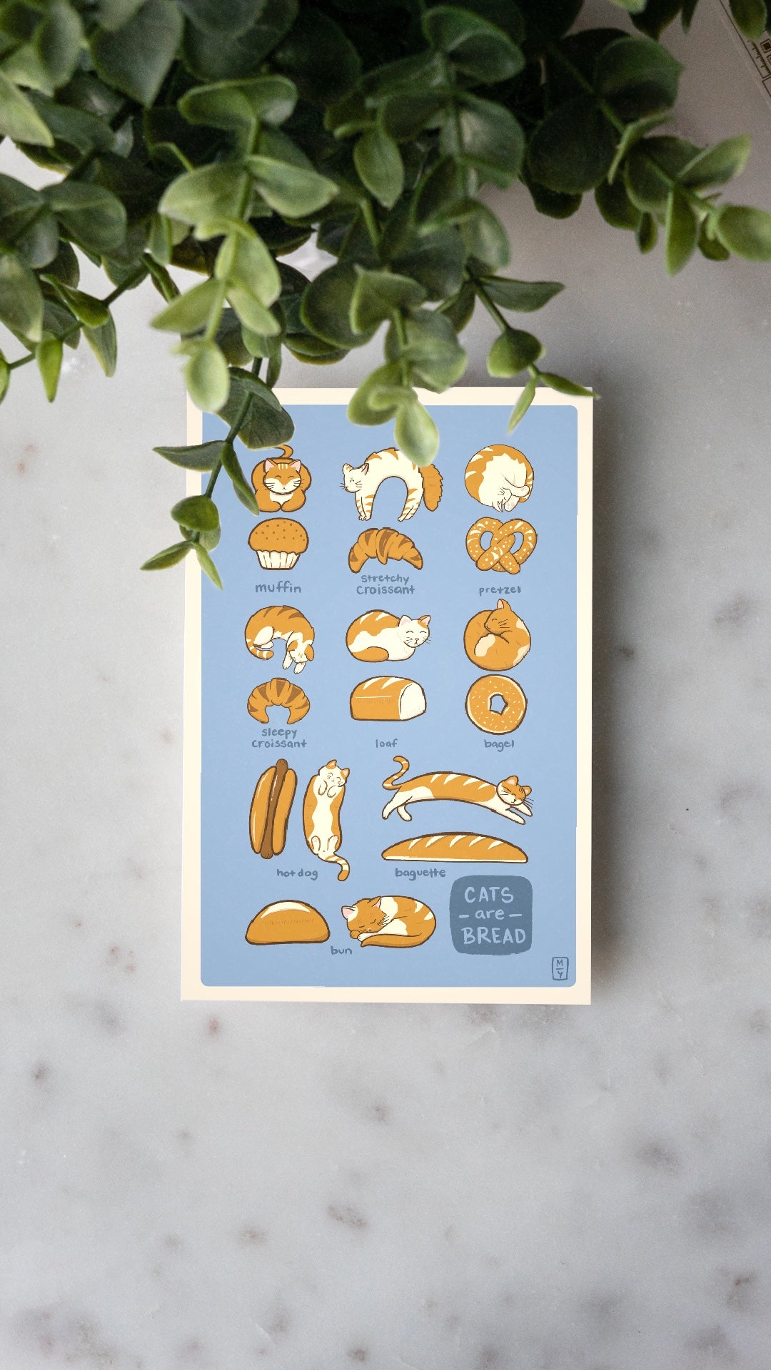 Bread Cats Postcard